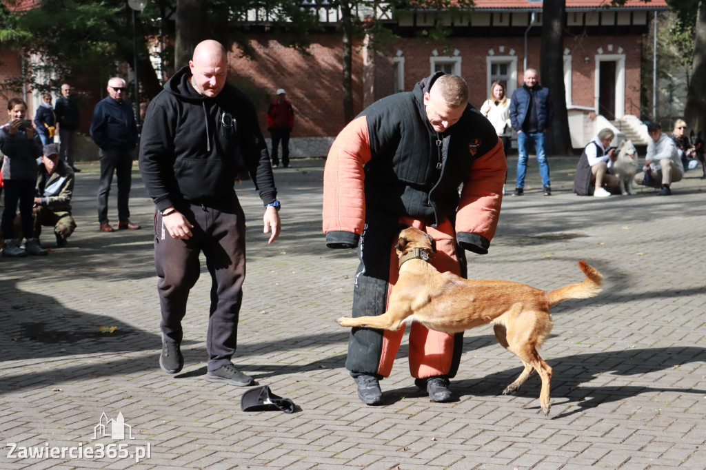 Fotorelacja: Parada Psów w Zawierciu.