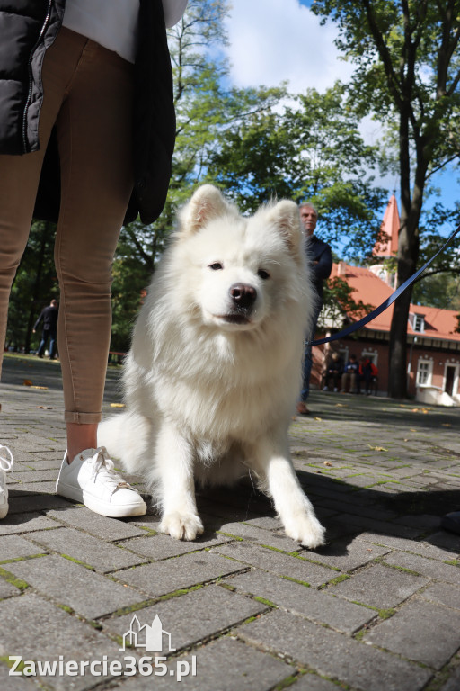 Fotorelacja: Parada Psów w Zawierciu.