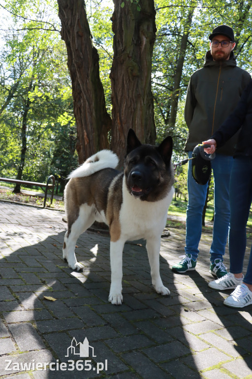 Fotorelacja: Parada Psów w Zawierciu.