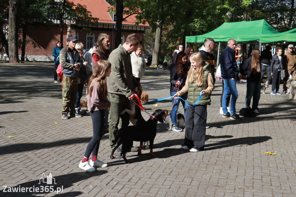 Fotorelacja: Parada Psów w Zawierciu.