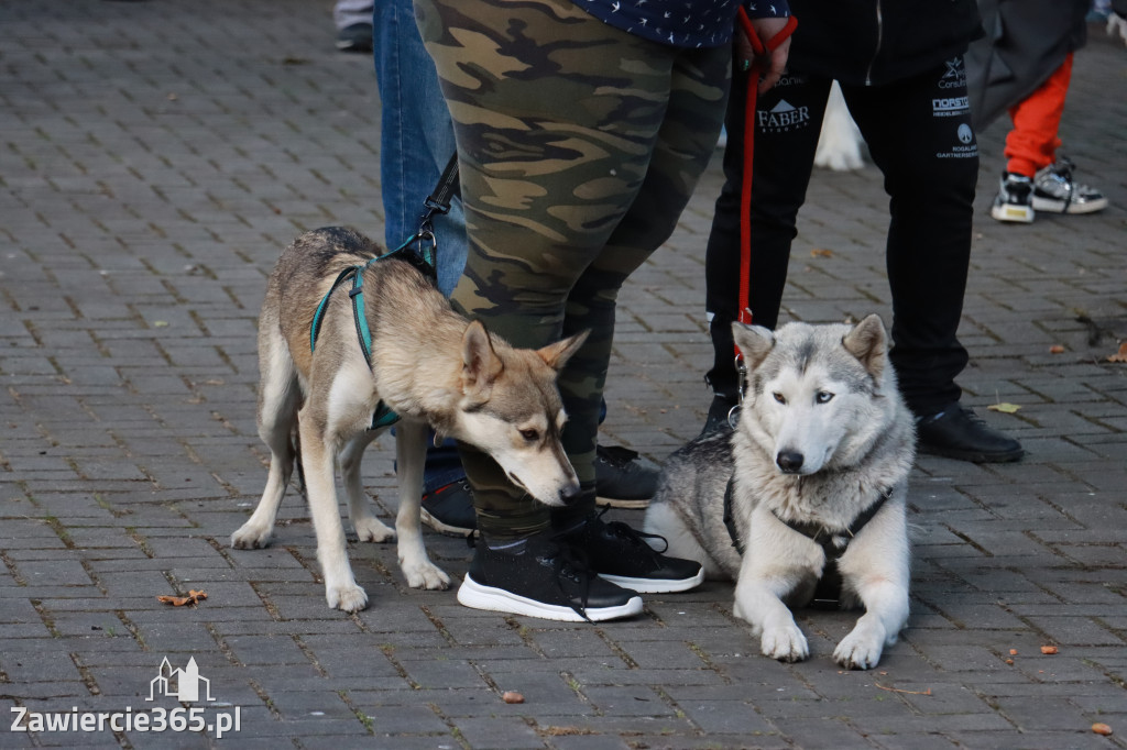 Fotorelacja: Parada Psów w Zawierciu.