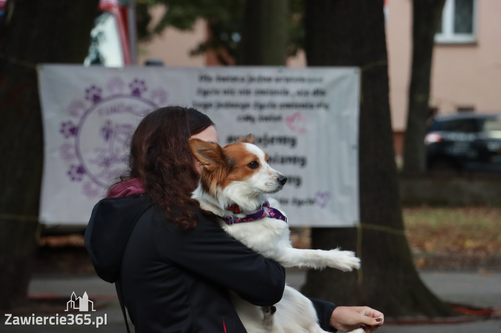 Fotorelacja: Parada Psów w Zawierciu.