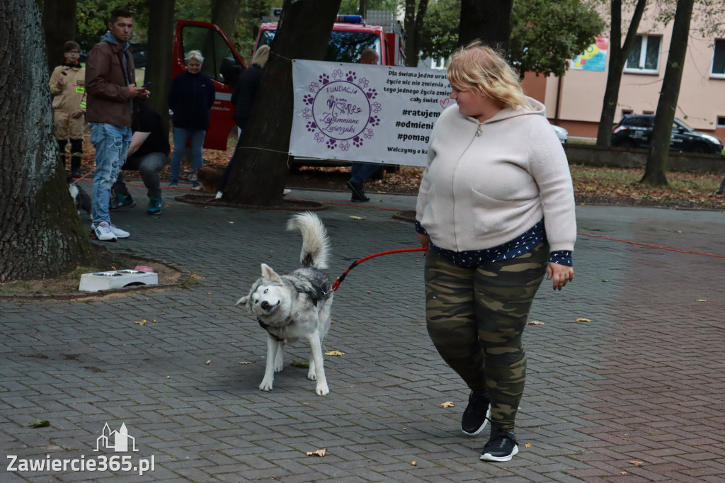 Fotorelacja: Parada Psów w Zawierciu.