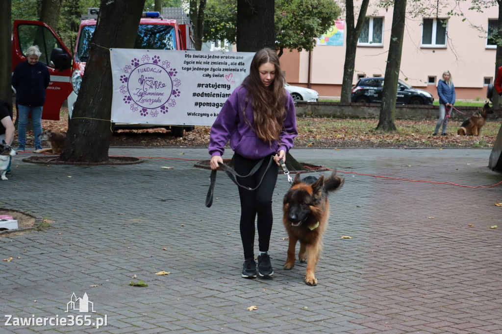 Fotorelacja: Parada Psów w Zawierciu.