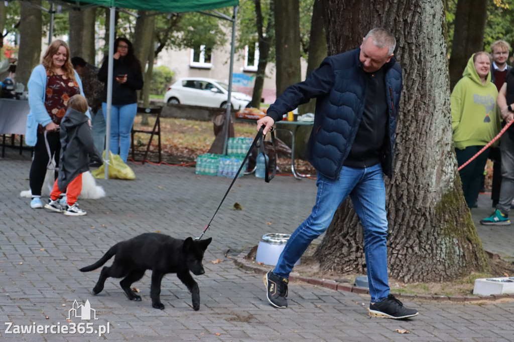 Fotorelacja: Parada Psów w Zawierciu.