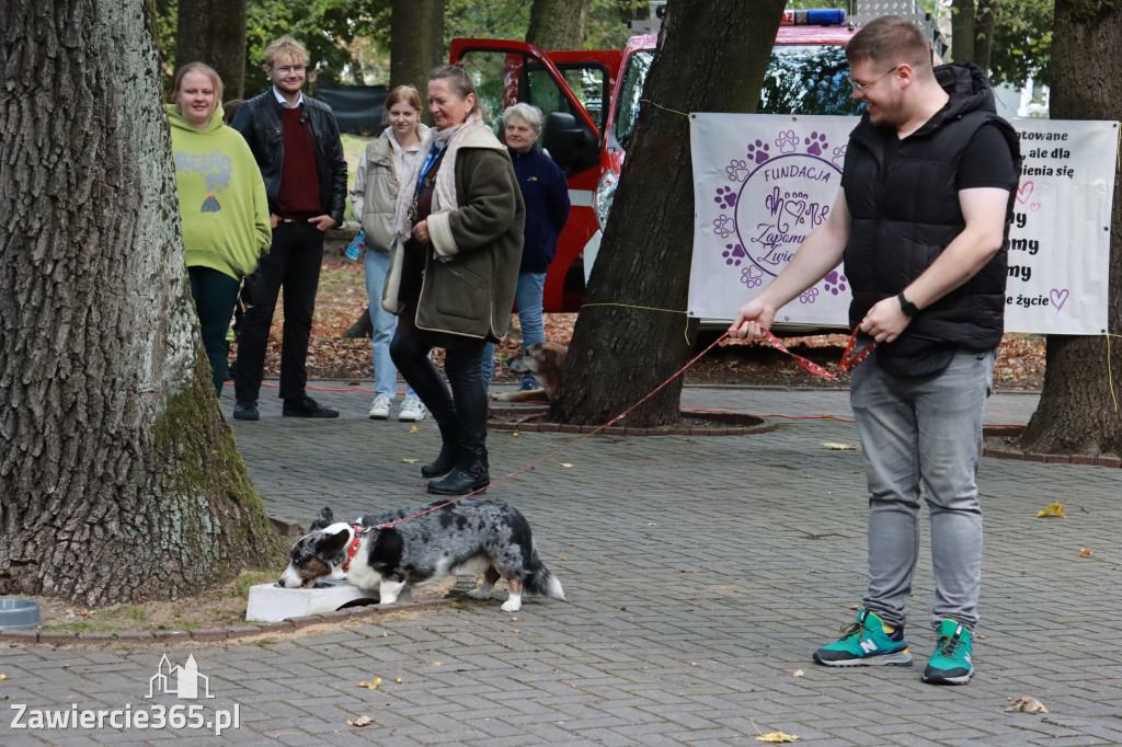 Fotorelacja: Parada Psów w Zawierciu.