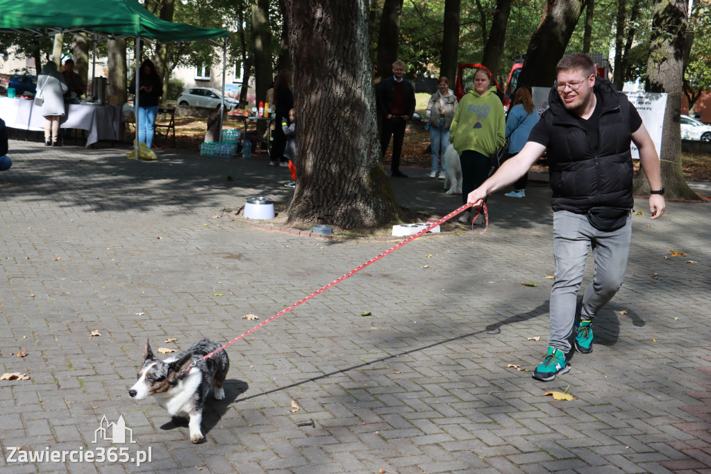 Fotorelacja: Parada Psów w Zawierciu.