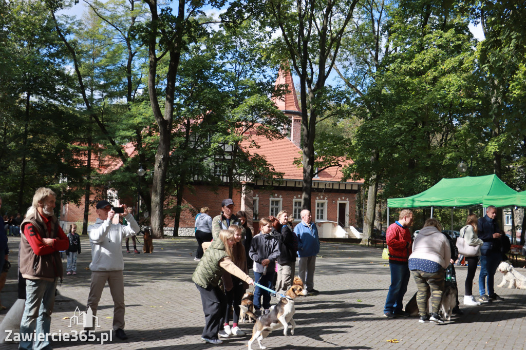 Fotorelacja: Parada Psów w Zawierciu.