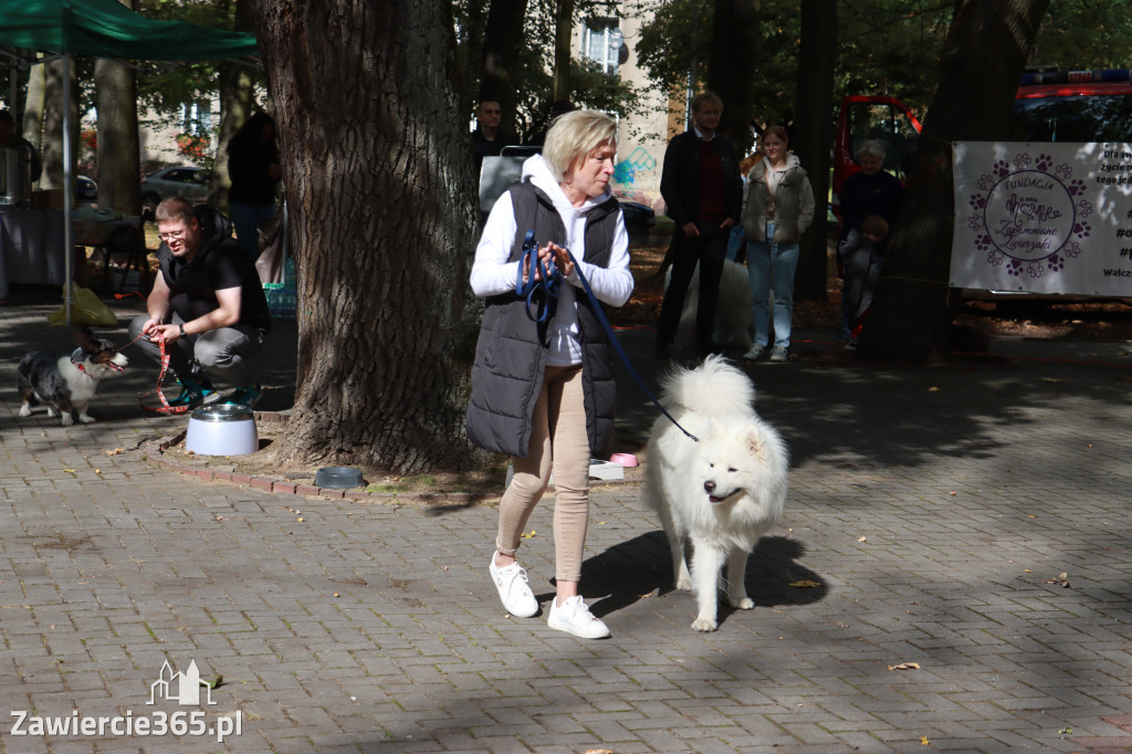 Fotorelacja: Parada Psów w Zawierciu.