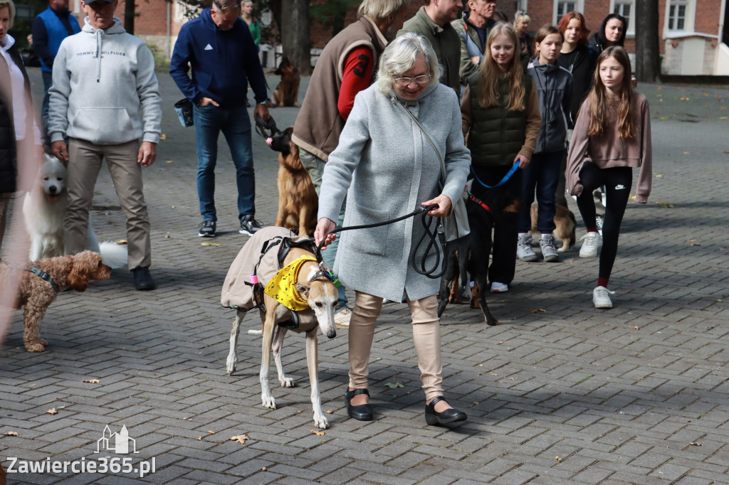 Fotorelacja: Parada Psów w Zawierciu.