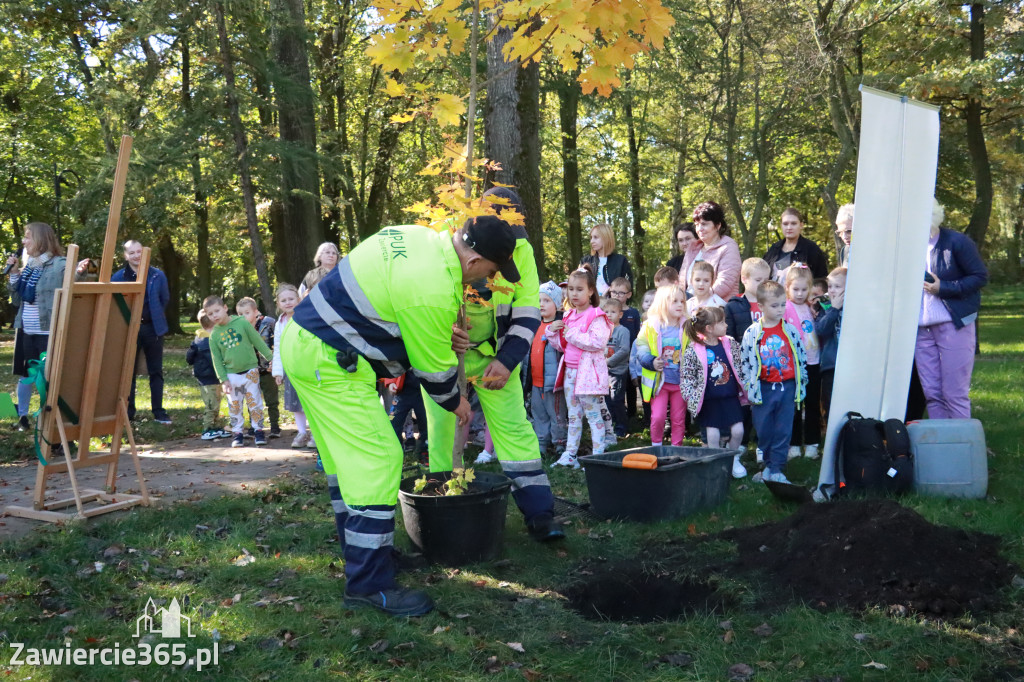 Fotorelacja: Światowy Dzień Drzewa w Zawierciu