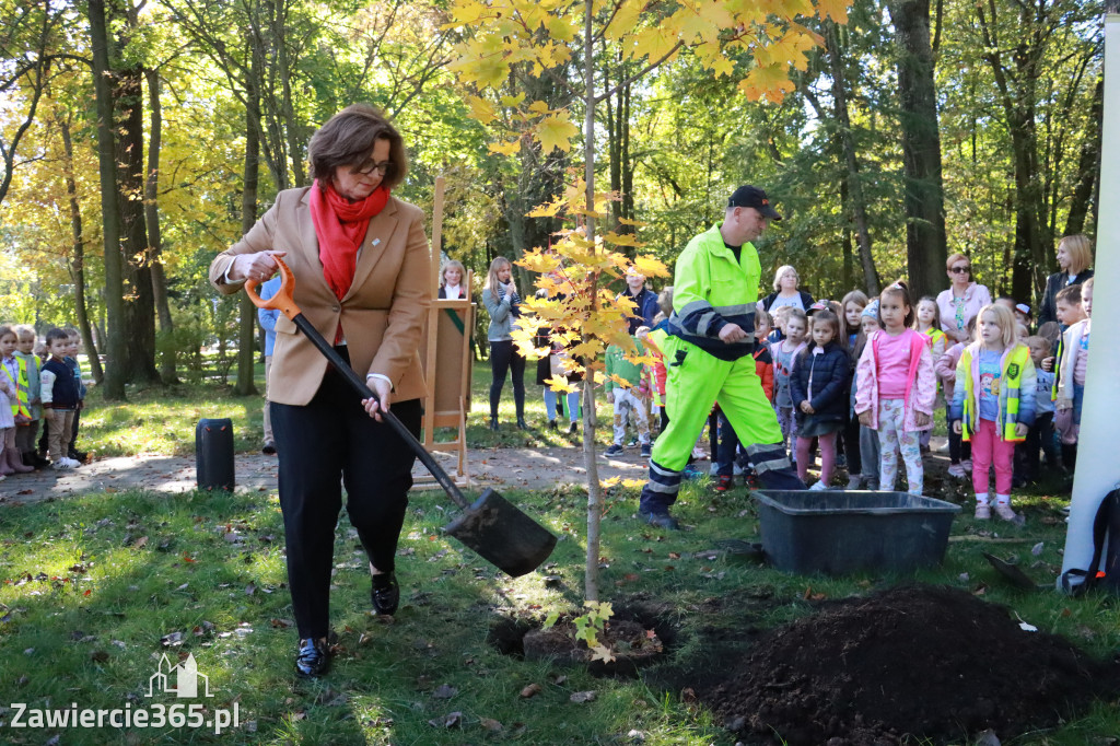 Fotorelacja: Światowy Dzień Drzewa w Zawierciu