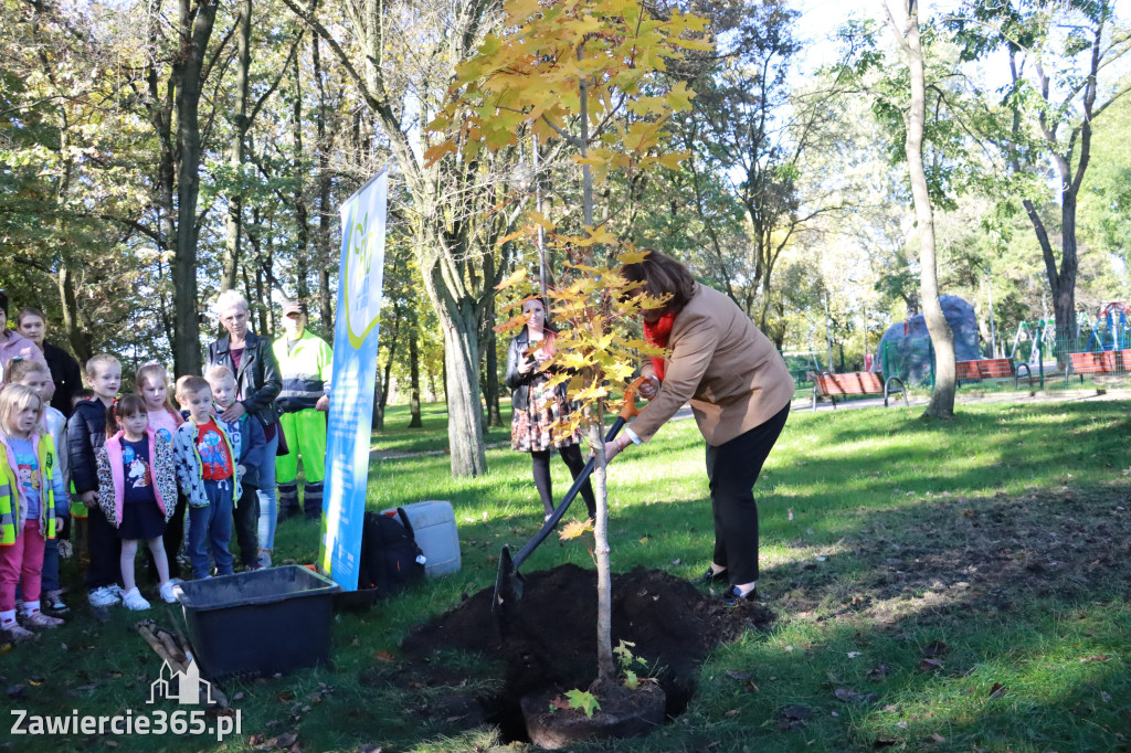 Fotorelacja: Światowy Dzień Drzewa w Zawierciu