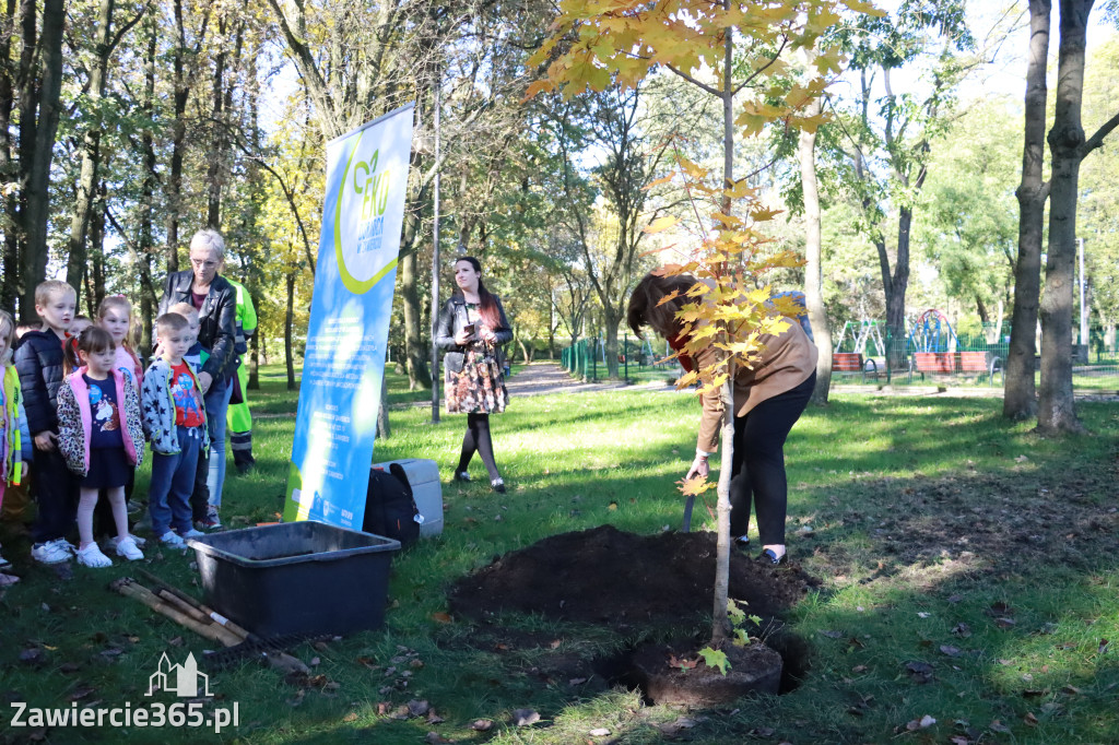 Fotorelacja: Światowy Dzień Drzewa w Zawierciu