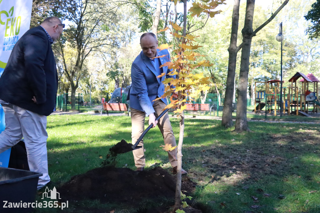 Fotorelacja: Światowy Dzień Drzewa w Zawierciu