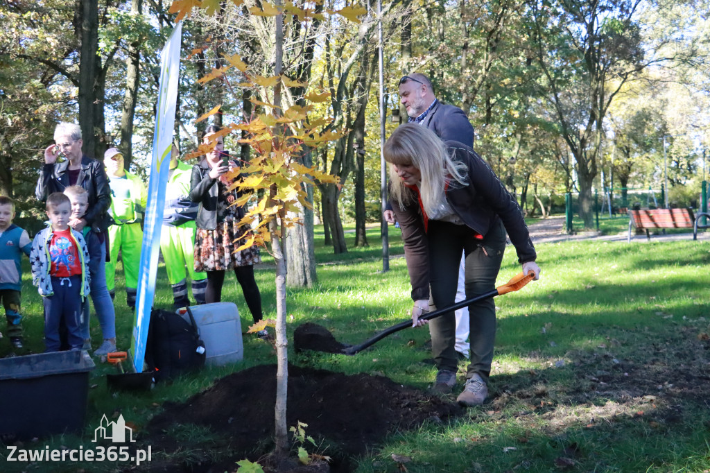 Fotorelacja: Światowy Dzień Drzewa w Zawierciu