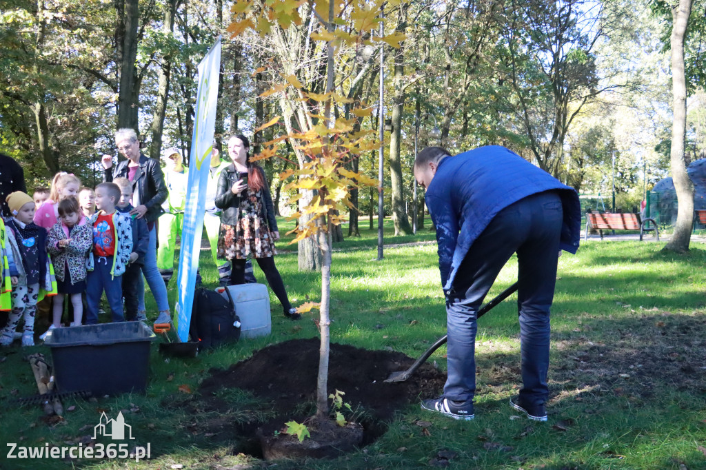 Fotorelacja: Światowy Dzień Drzewa w Zawierciu