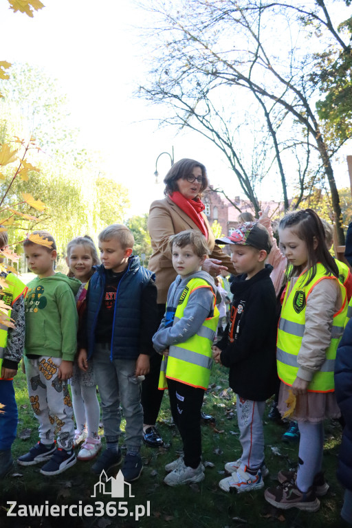 Fotorelacja: Światowy Dzień Drzewa w Zawierciu