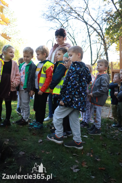 Fotorelacja: Światowy Dzień Drzewa w Zawierciu