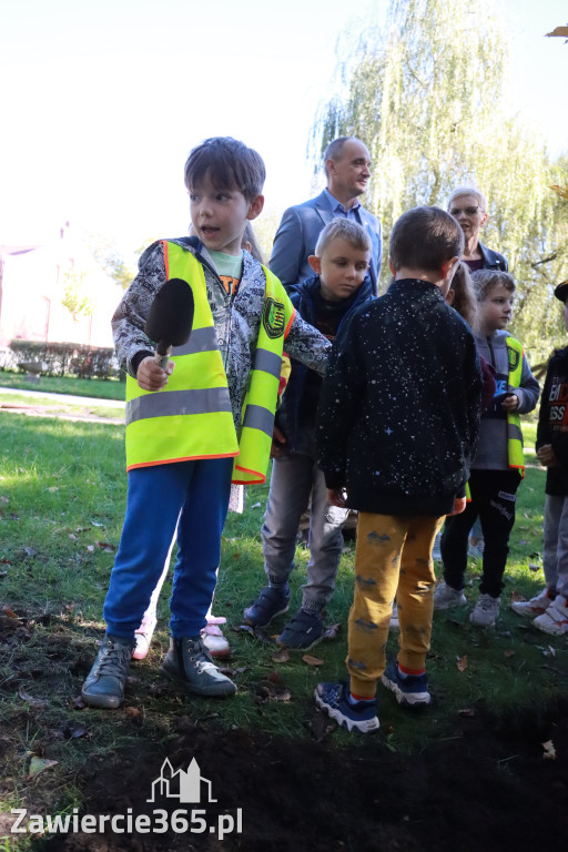 Fotorelacja: Światowy Dzień Drzewa w Zawierciu