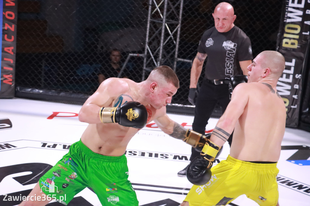 Fotorelacja: 19 Silesian MMA Zawiercie cz. 3