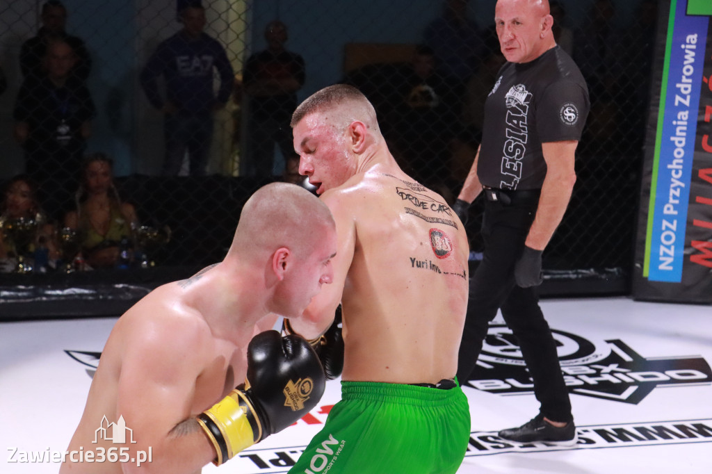Fotorelacja: 19 Silesian MMA Zawiercie cz. 3