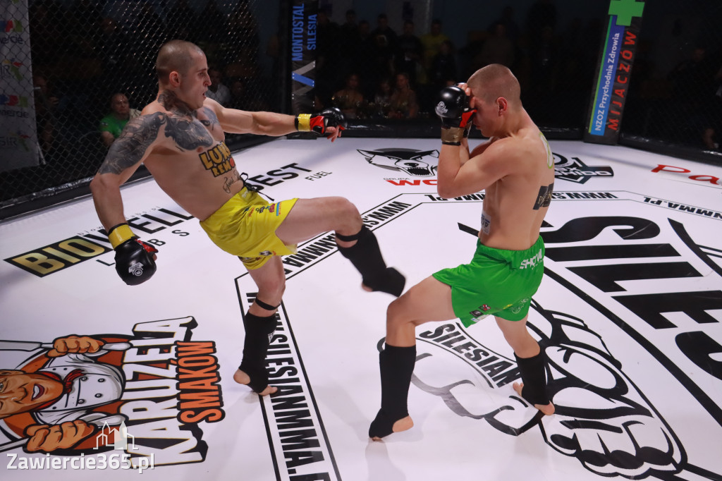 Fotorelacja: 19 Silesian MMA Zawiercie cz. 3