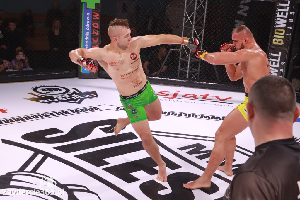 Fotorelacja: 19 Silesian MMA Zawiercie cz. 3