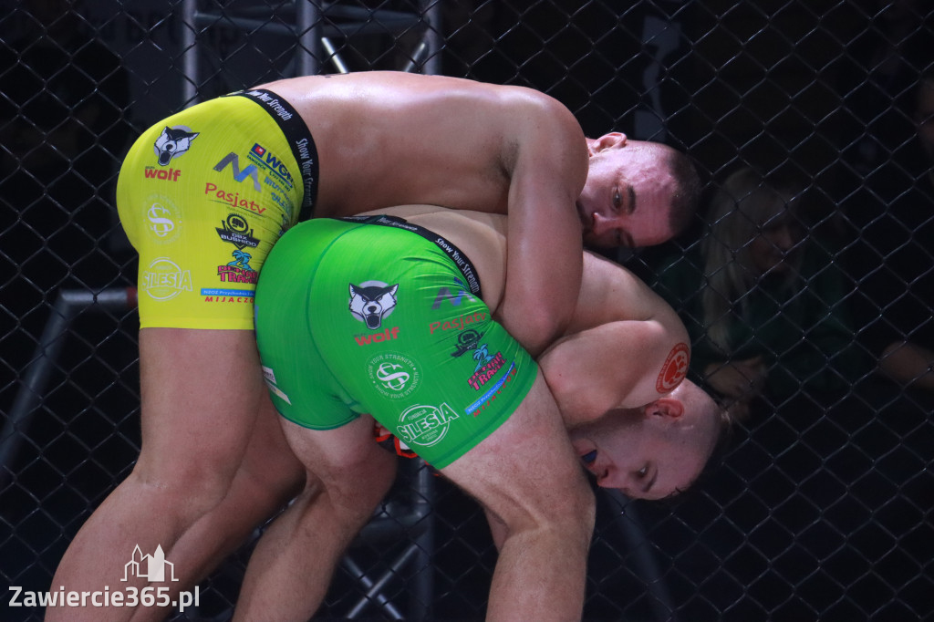 Fotorelacja: 19 Silesian MMA Zawiercie cz. 3