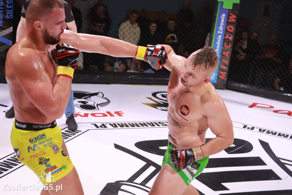 Fotorelacja: 19 Silesian MMA Zawiercie cz. 3