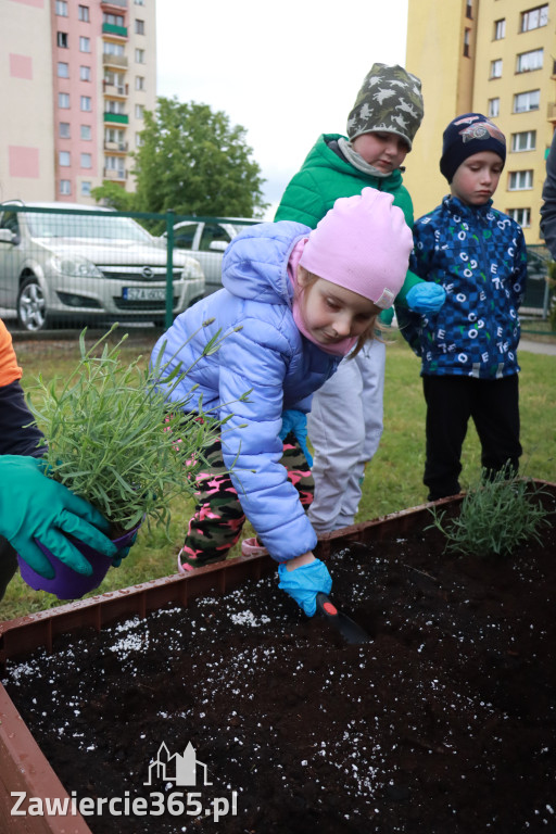 Fotorelacja: Magiczny Ogród Zmysłów w Przedszkolu nr 3 w Zawierciu