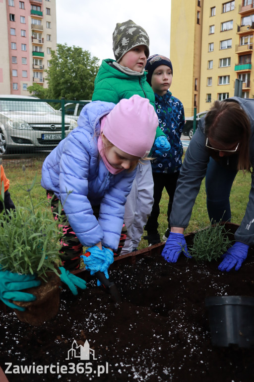 Fotorelacja: Magiczny Ogród Zmysłów w Przedszkolu nr 3 w Zawierciu
