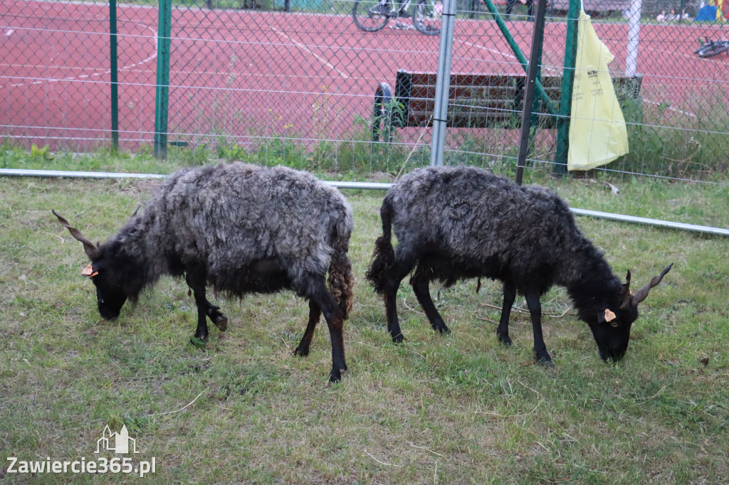 Fotorelacja: Dzień Dziecka Zawiercie Żerkowice