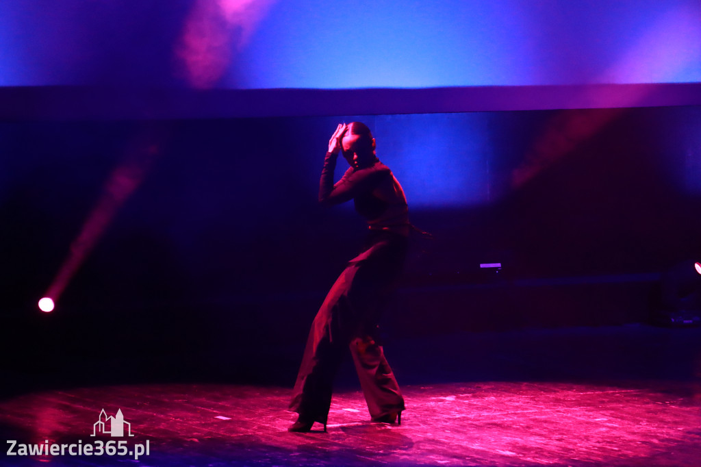Fotorelacja III: The Final Show YOUCANDOIT Dance Studio w MOK Zawiercie