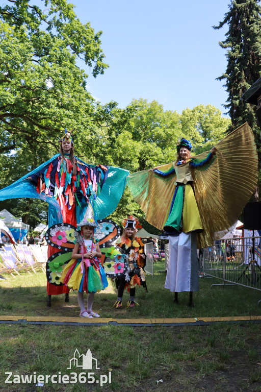 Fotorelacja: Piknik Ekologiczny 2025 Zawiercie