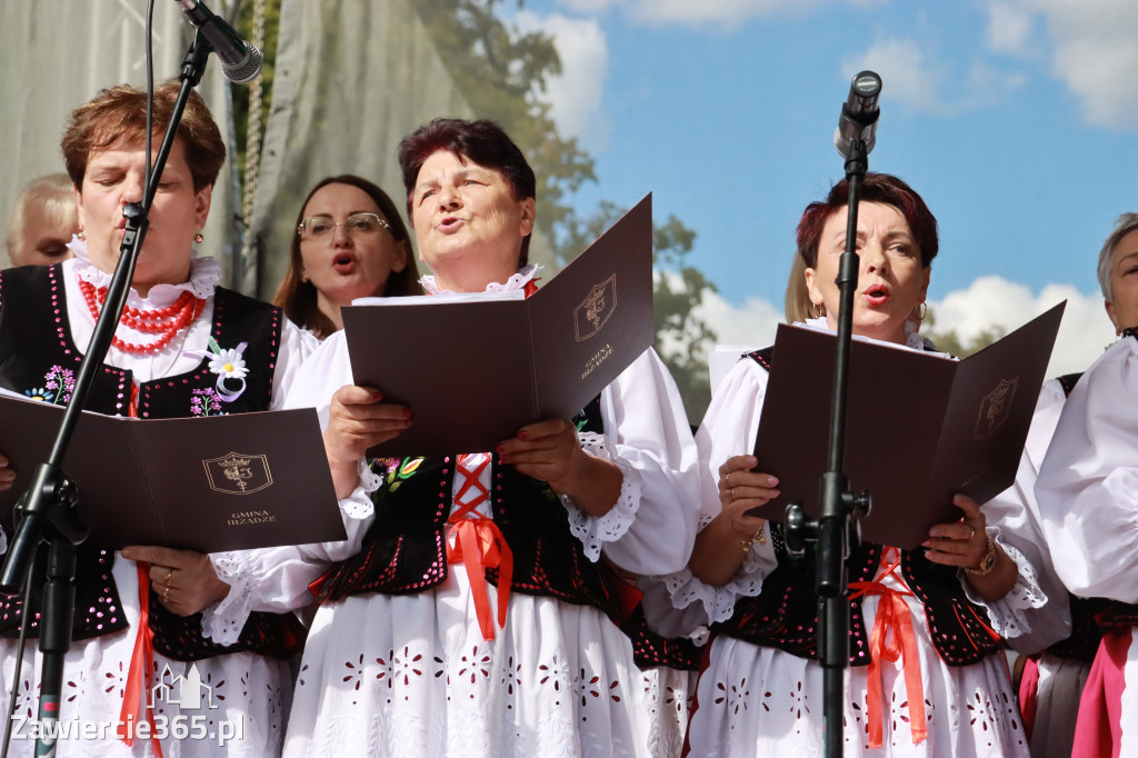 Fotorelacja II: GMINNE ŚWIĘTO PLONÓW część artystyczna. Irządze 2025!
