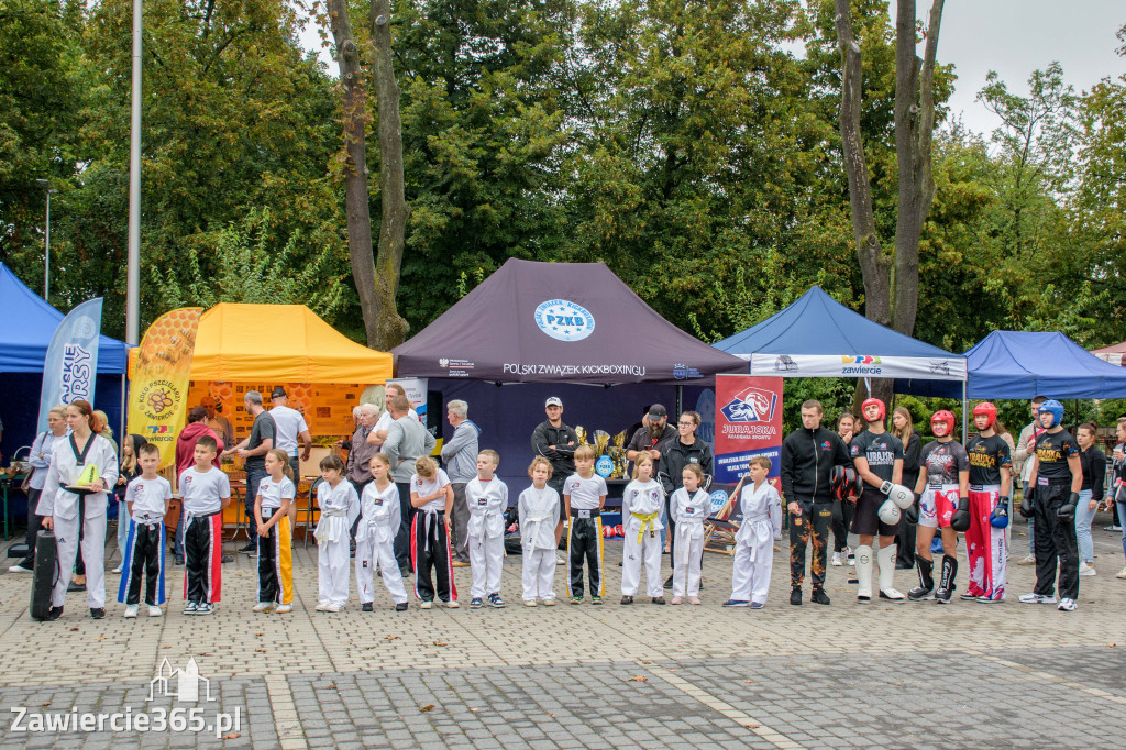 Fotorelacja: Piknik Organizacji Pozarządowych w Zawierciu