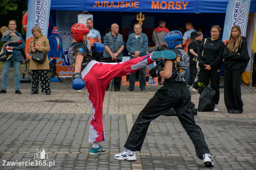Fotorelacja: Piknik Organizacji Pozarządowych w Zawierciu