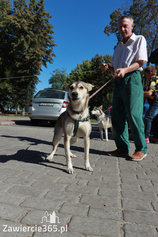 Fotorelacja: Parada psów w Zawierciu