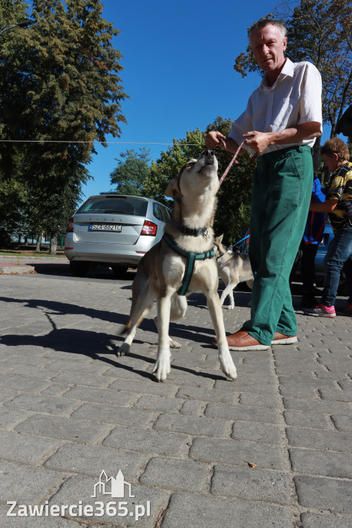 Fotorelacja: Parada psów w Zawierciu