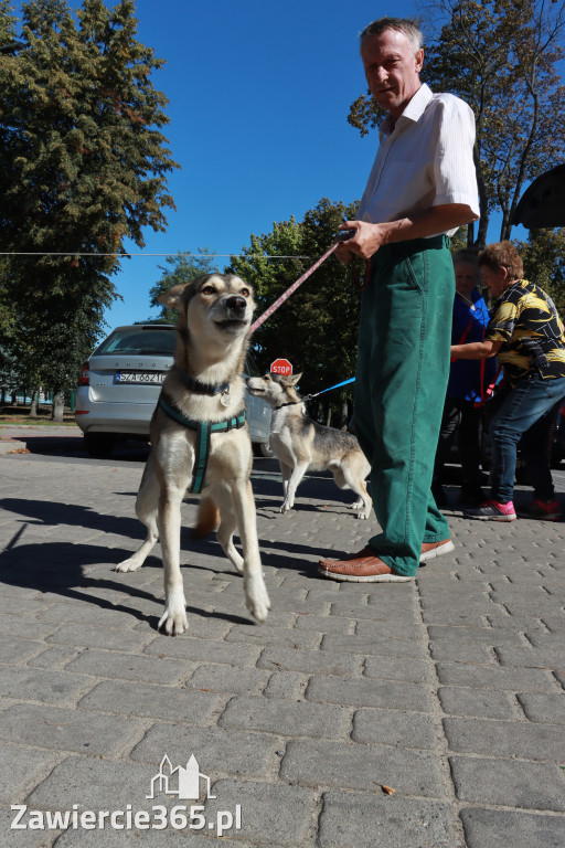 Fotorelacja: Parada psów w Zawierciu