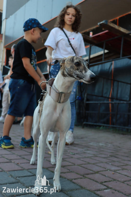 Fotorelacja: Parada psów w Zawierciu