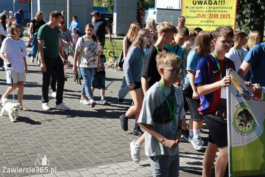 Fotorelacja: Parada psów w Zawierciu