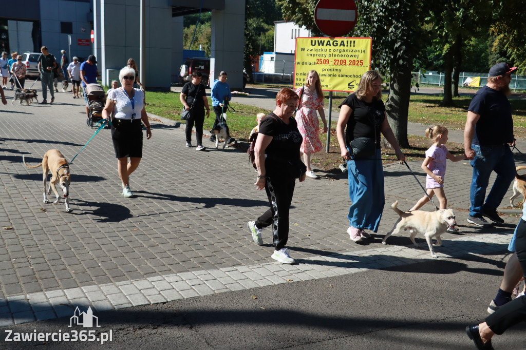 Fotorelacja: Parada psów w Zawierciu