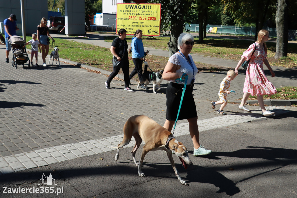 Fotorelacja: Parada psów w Zawierciu