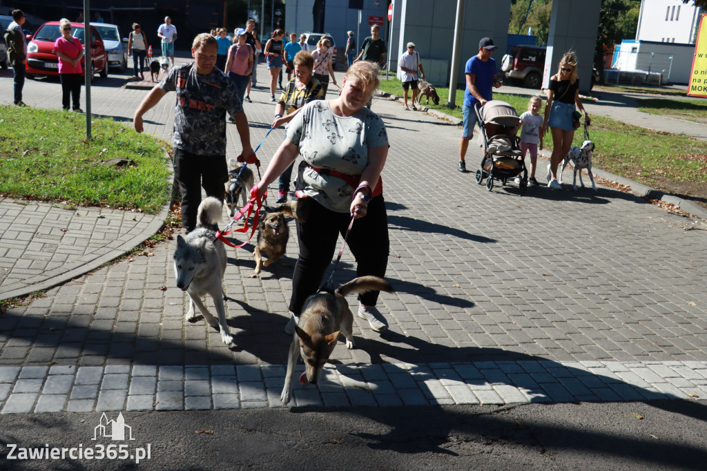 Fotorelacja: Parada psów w Zawierciu