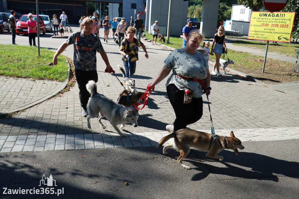 Fotorelacja: Parada psów w Zawierciu
