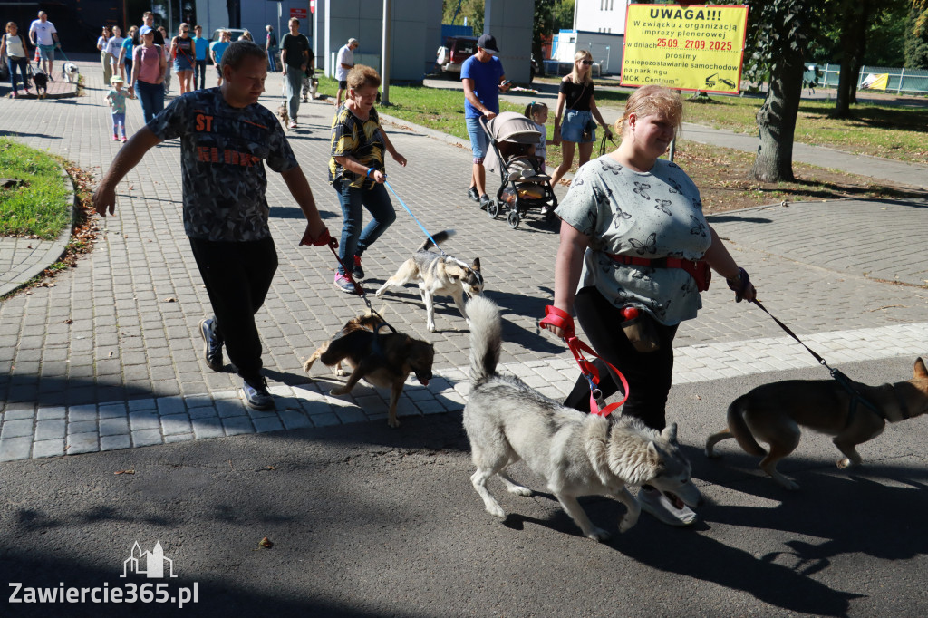 Fotorelacja: Parada psów w Zawierciu