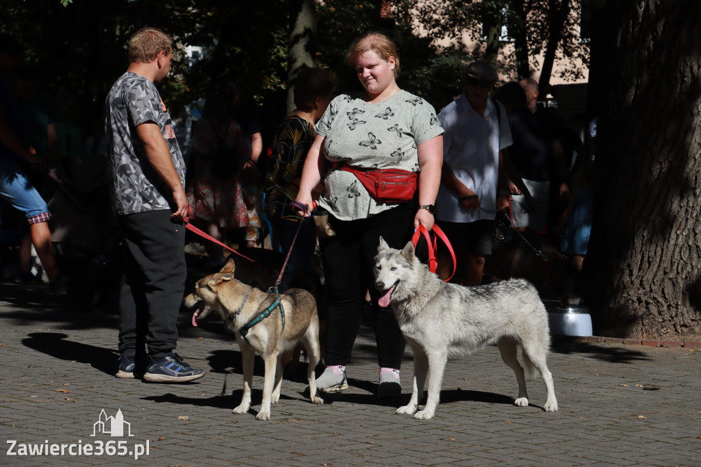 Fotorelacja: Parada psów w Zawierciu