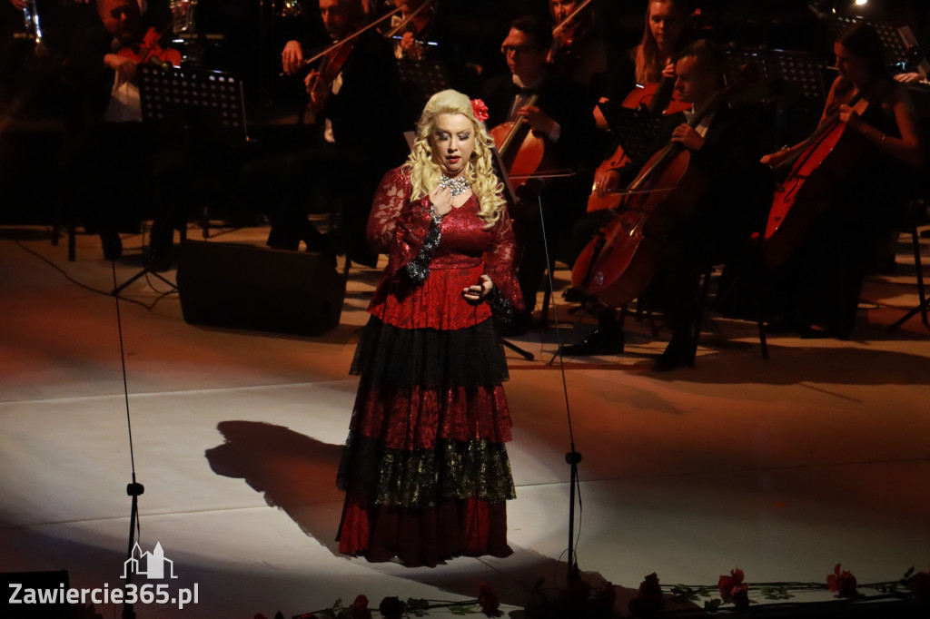 Fotorelacja VIII: III Festiwal Wiesława Ochmana w Zawierciu - Gala Finałowa